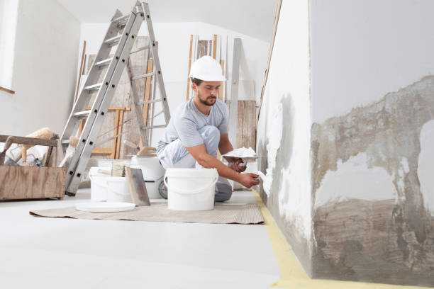 Trusted Grant, NE Mold Removal Experts