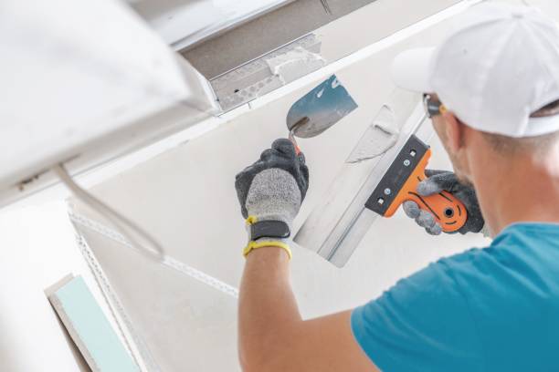 Best Industrial Mold Remediation  in Grant, NE